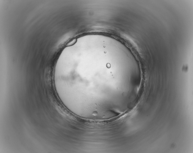 X0000091591403200709101030