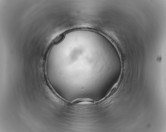 X0000091591404200709101030