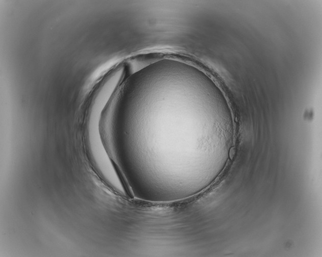 X0000091591406200709101030