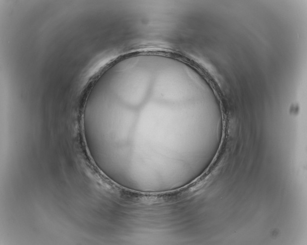 X0000091591407200709101030