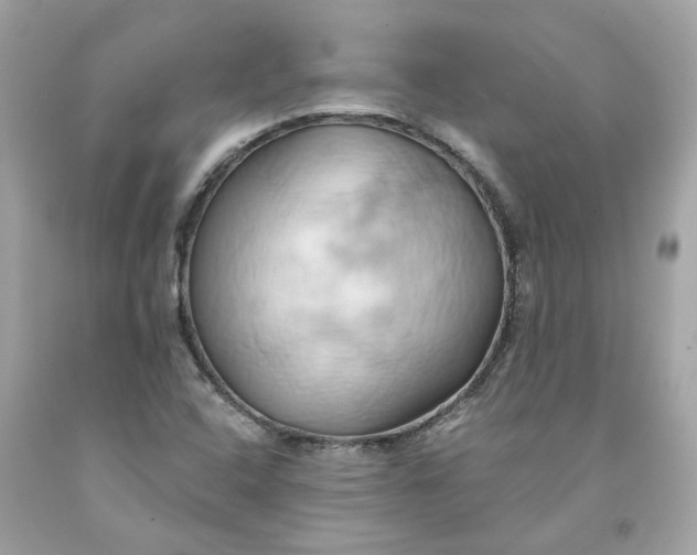 X0000091591408200709101030