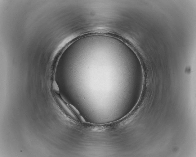 X0000091591410200709101031