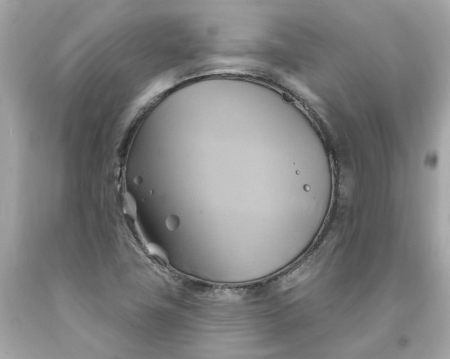 X0000091591411200709101031