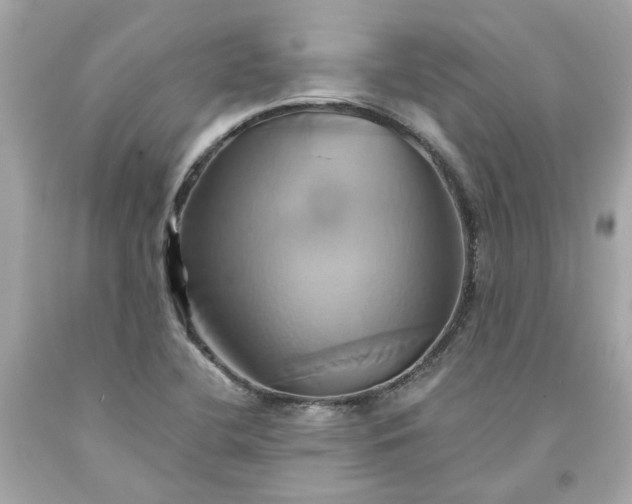 X0000091591412200709101031