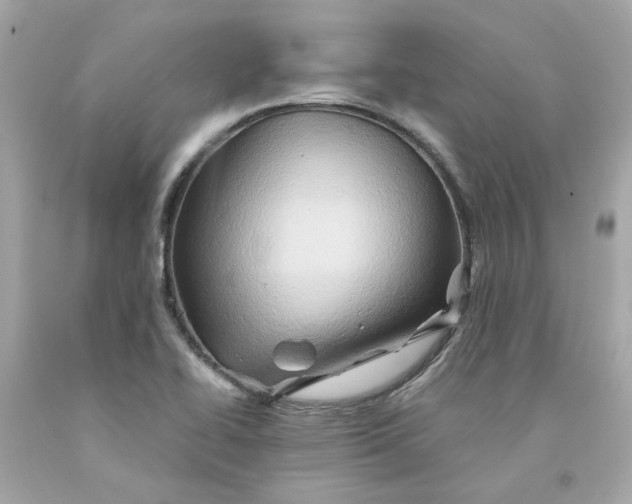 X0000091591414200709101031