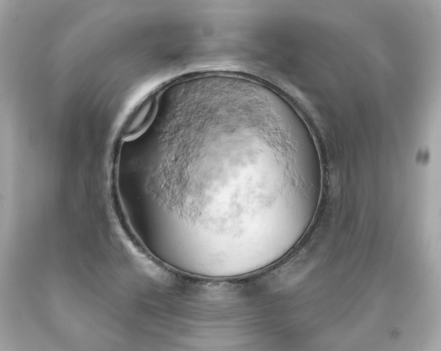 X0000091591416200709101031