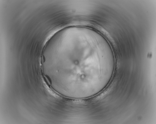 X0000091591417200709101031