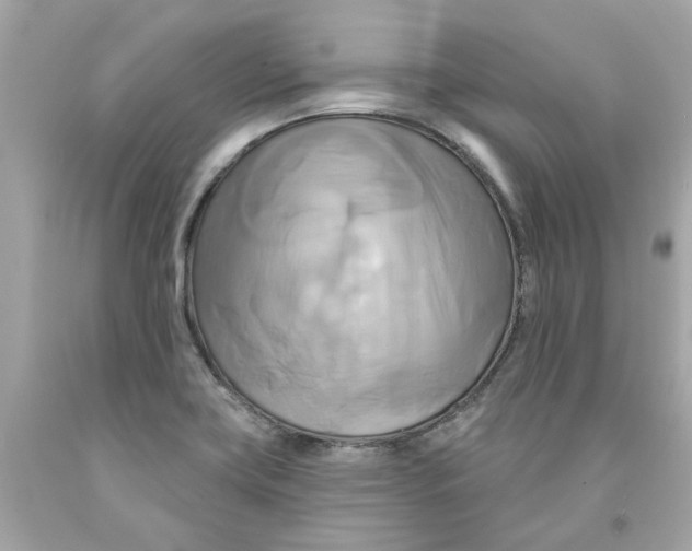 X0000091591419200709101031