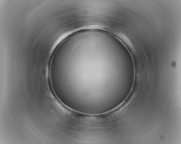 X0000091591420200709101031