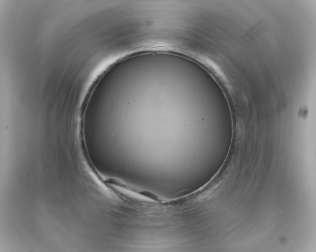 X0000091591424200709101031