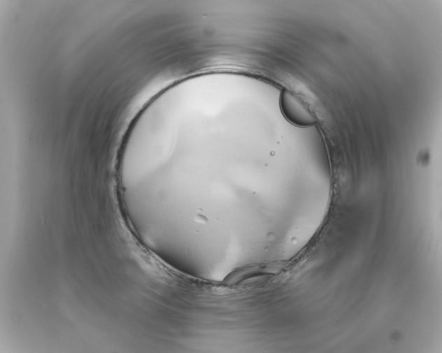 X0000091591427200709101031