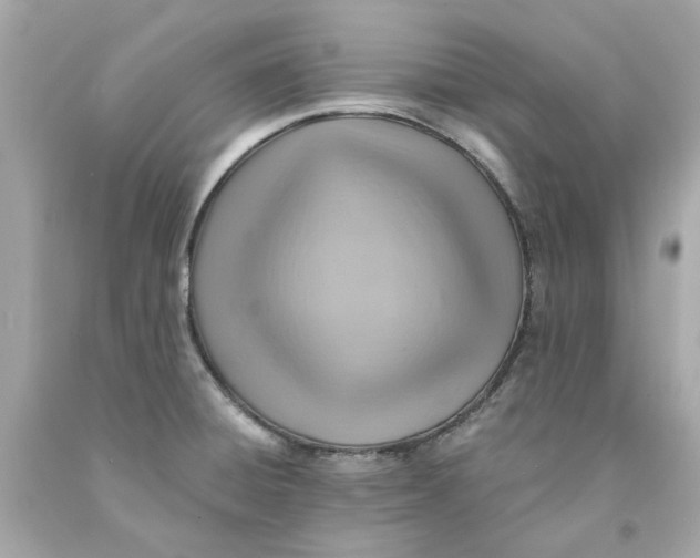 X0000091591428200709101031