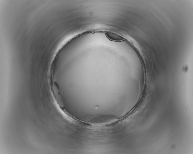 X0000091591429200709101031