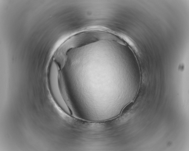 X0000091591430200709101031