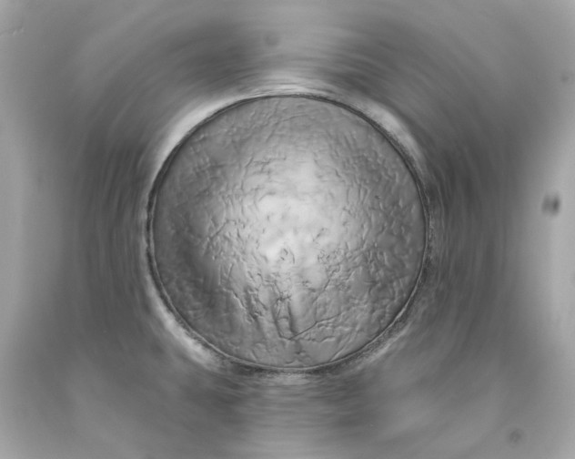 X0000091591431200709101031