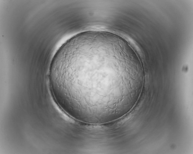 X0000091591432200709101031