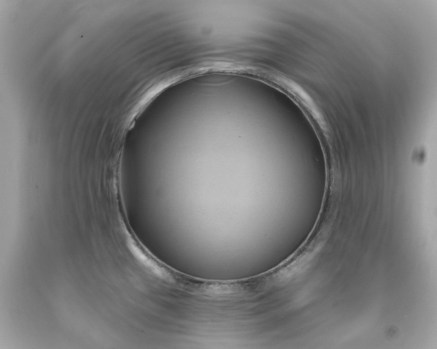 X0000091591433200709101031