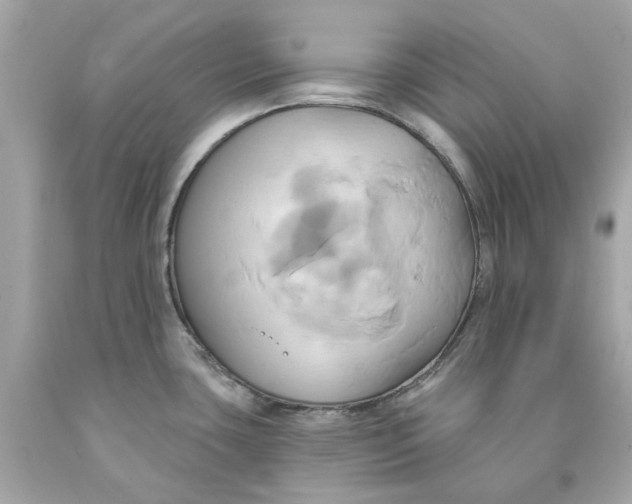 X0000091591435200709101031