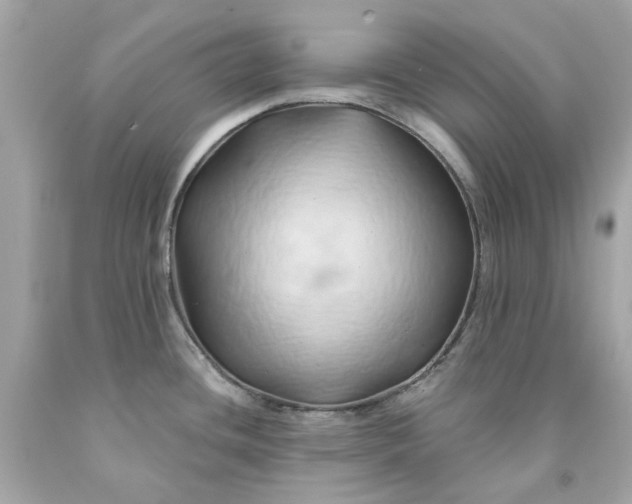 X0000091591436200709101031