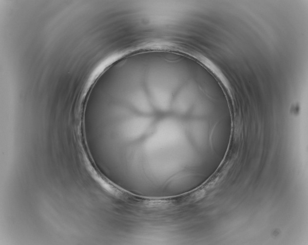 X0000091591437200709101031