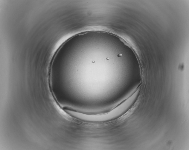 X0000091591438200709101031