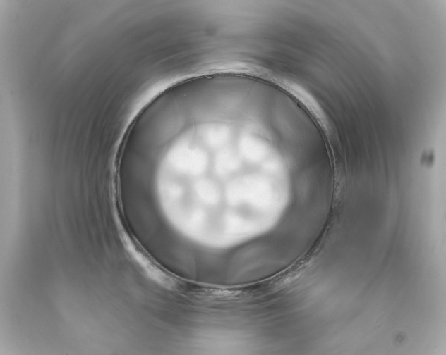 X0000091591439200709101031