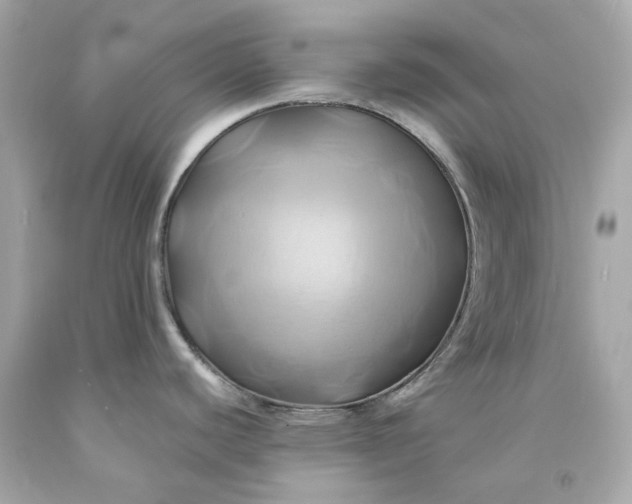 X0000091591440200709101031