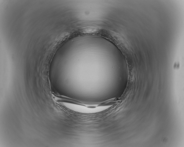 X0000091591441200709101030