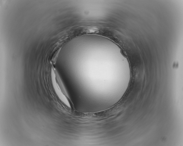 X0000091591442200709101030