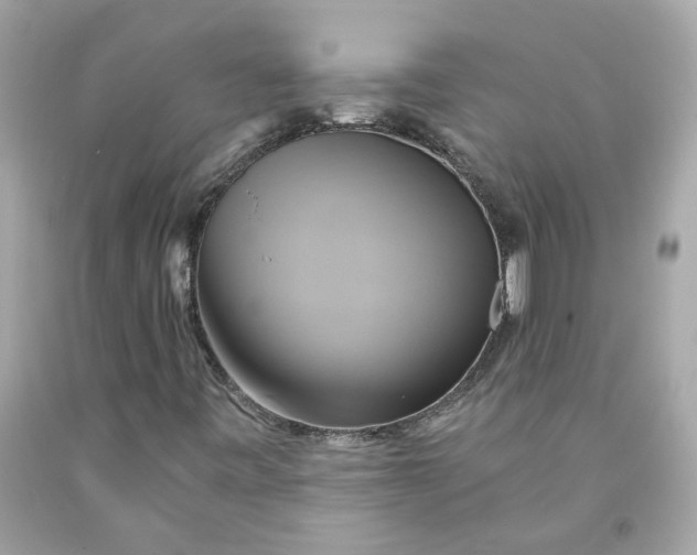 X0000091591443200709101030