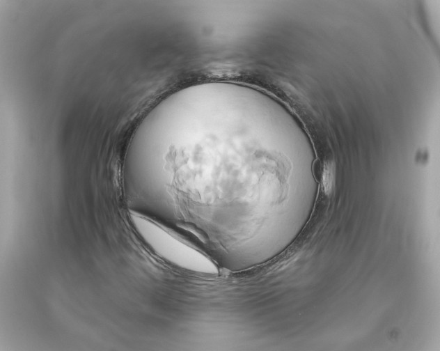 X0000091591444200709101030