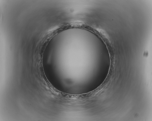 X0000091591445200709101030