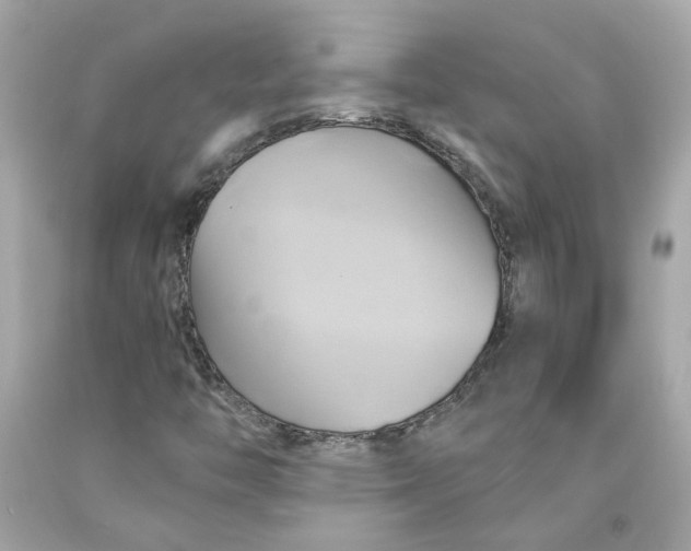 X0000091591446200709101030