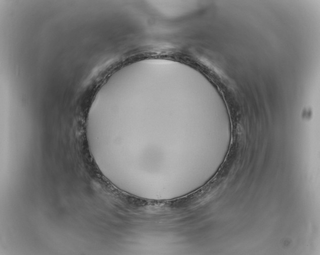 X0000091591447200709101030