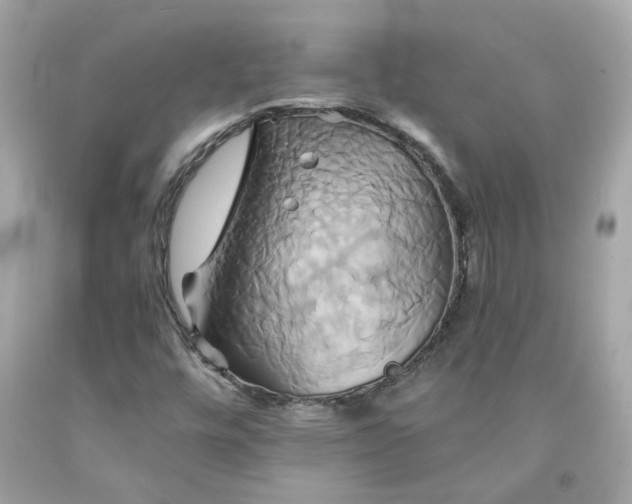 X0000091591448200709101030