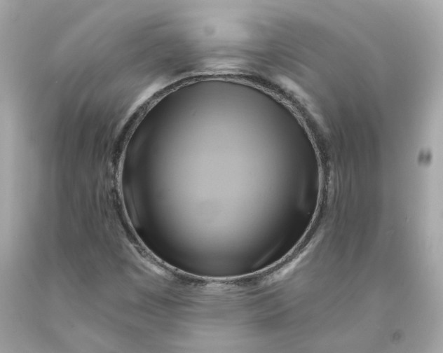 X0000091591449200709101030