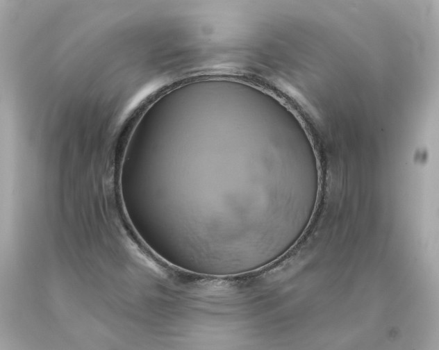 X0000091591450200709101030