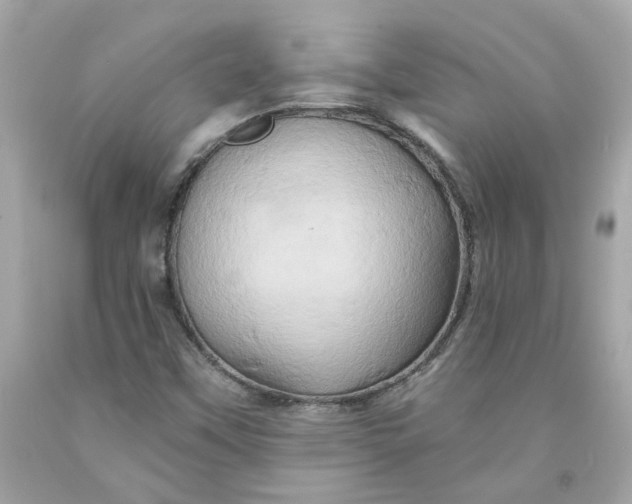 X0000091591451200709101030