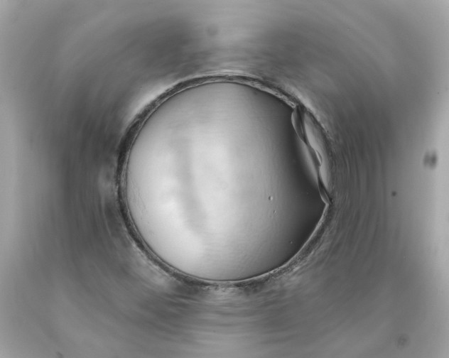 X0000091591452200709101030