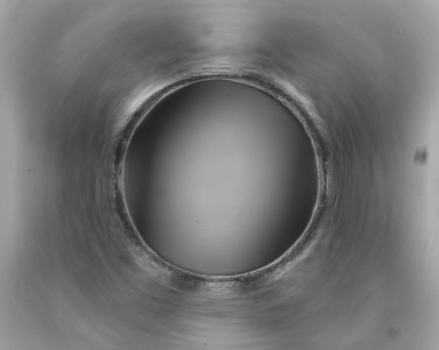 X0000091591453200709101030