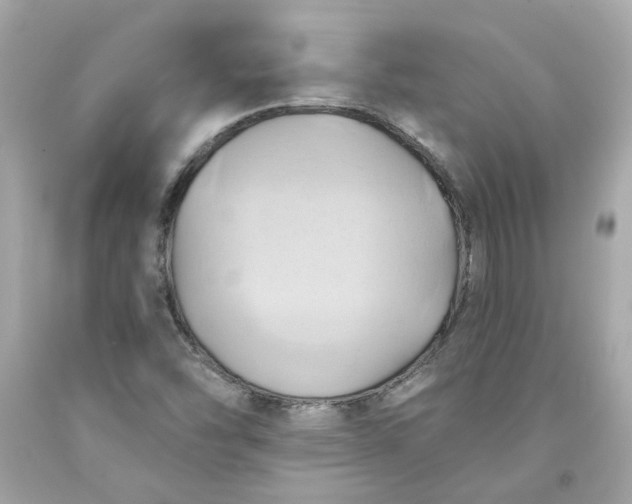 X0000091591454200709101030