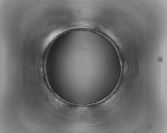 X0000091591455200709101030