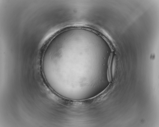 X0000091591456200709101030