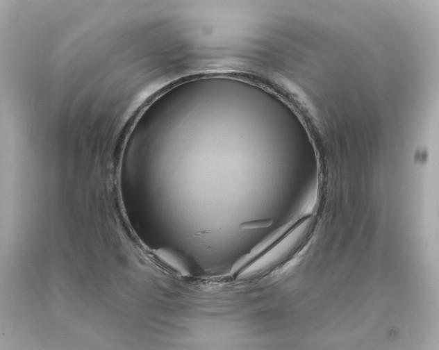 X0000091591457200709101030