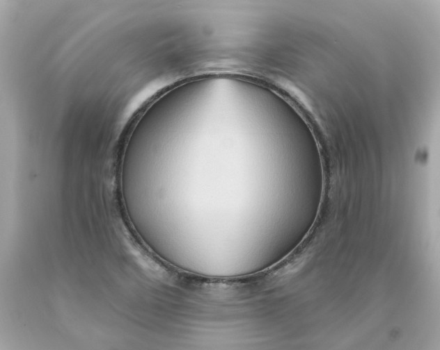 X0000091591458200709101030