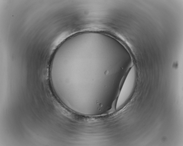 X0000091591459200709101030