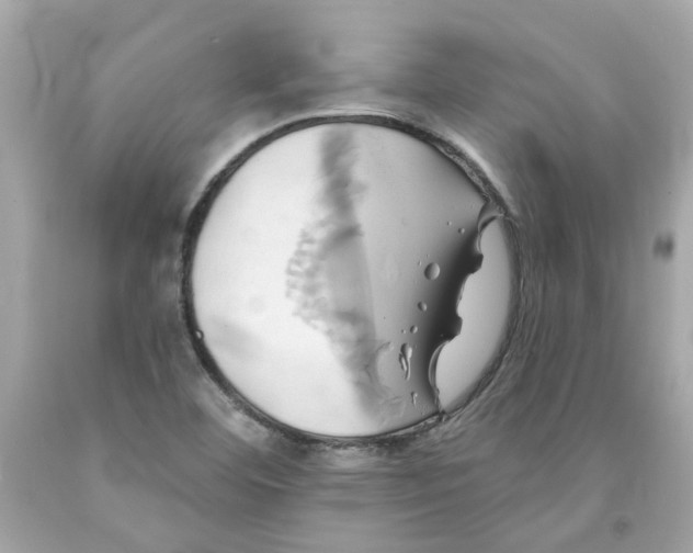 X0000091591460200709101030