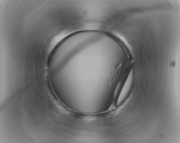 X0000091591461200709101030