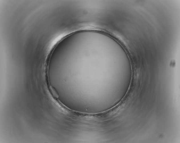 X0000091591463200709101030