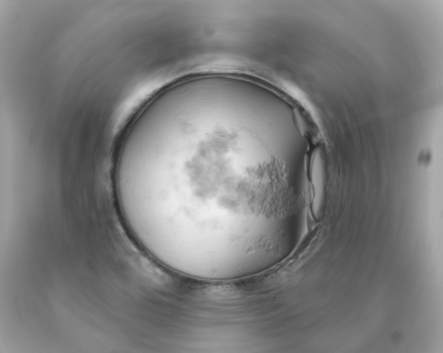 X0000091591464200709101030